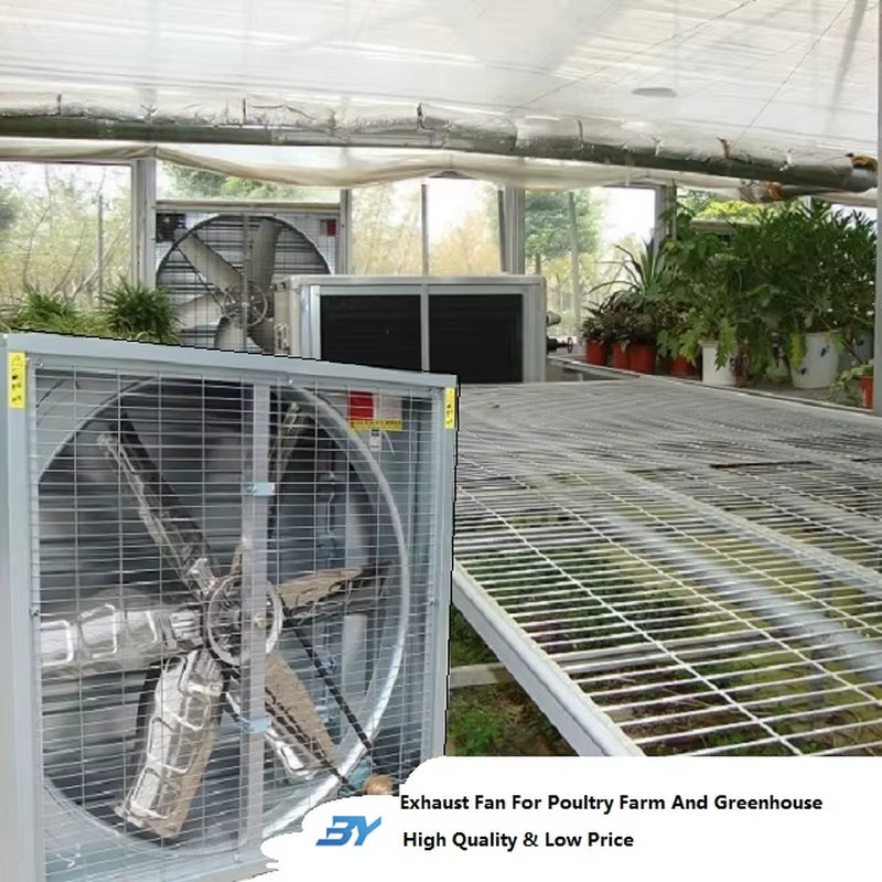 Poultry Farm Greenhouse Negative Pressure Industrial Ventilation Exhaust Fan