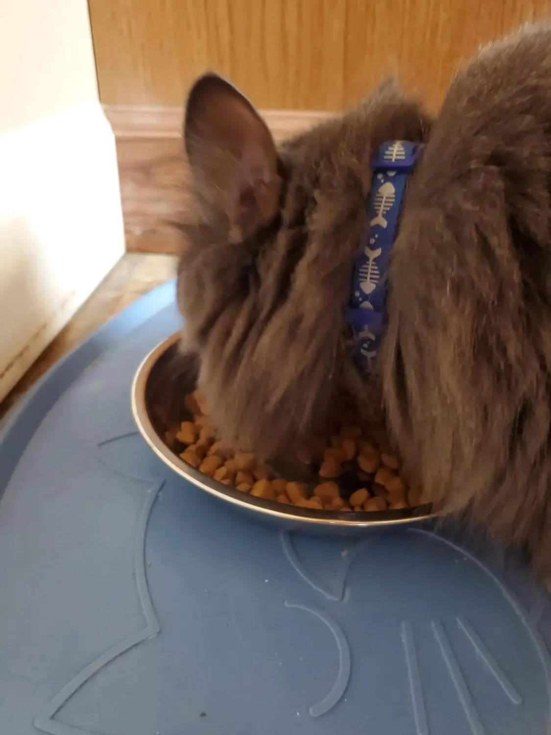 12 /6 PCS Cat Bowls Whisker Friendly, Shallow Wide Flat Cat Food Bowls Stainless Steel,Metal Cat Dishes Whisker Fatigue Relief