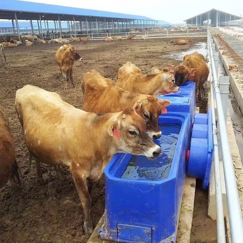 Heating Farm Bubble Plastic Sheep Water Trough Drinking Fountains Waterer for Cows